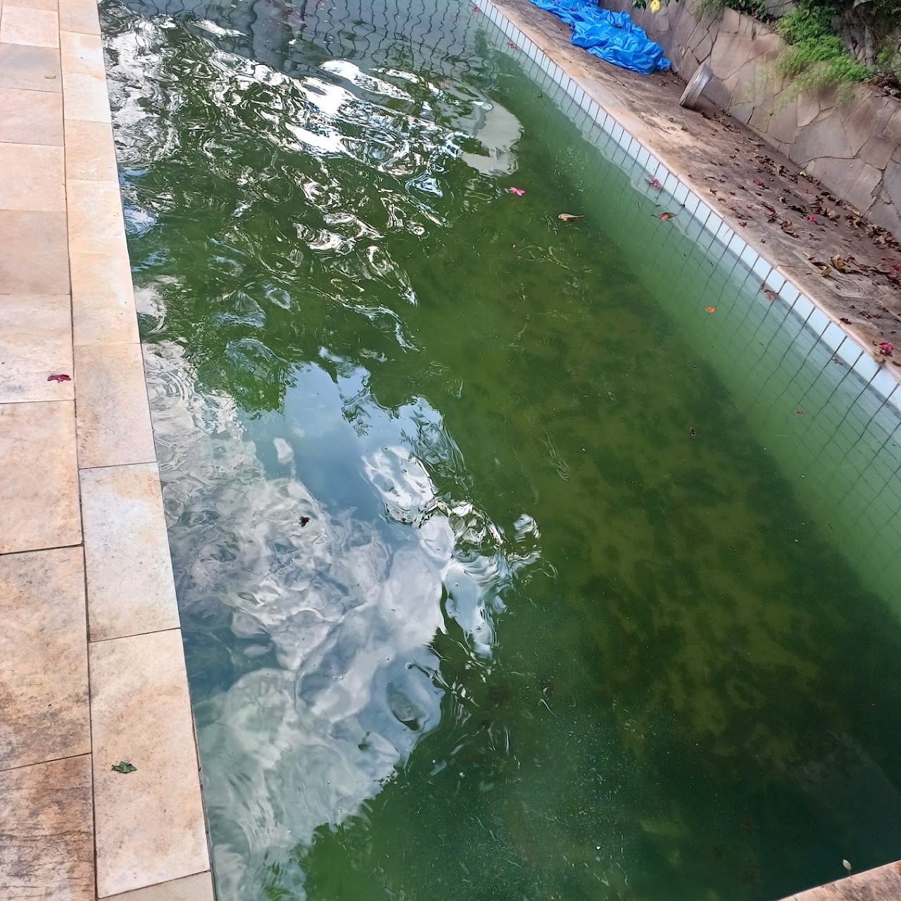 Piscina antes do tratamento 7