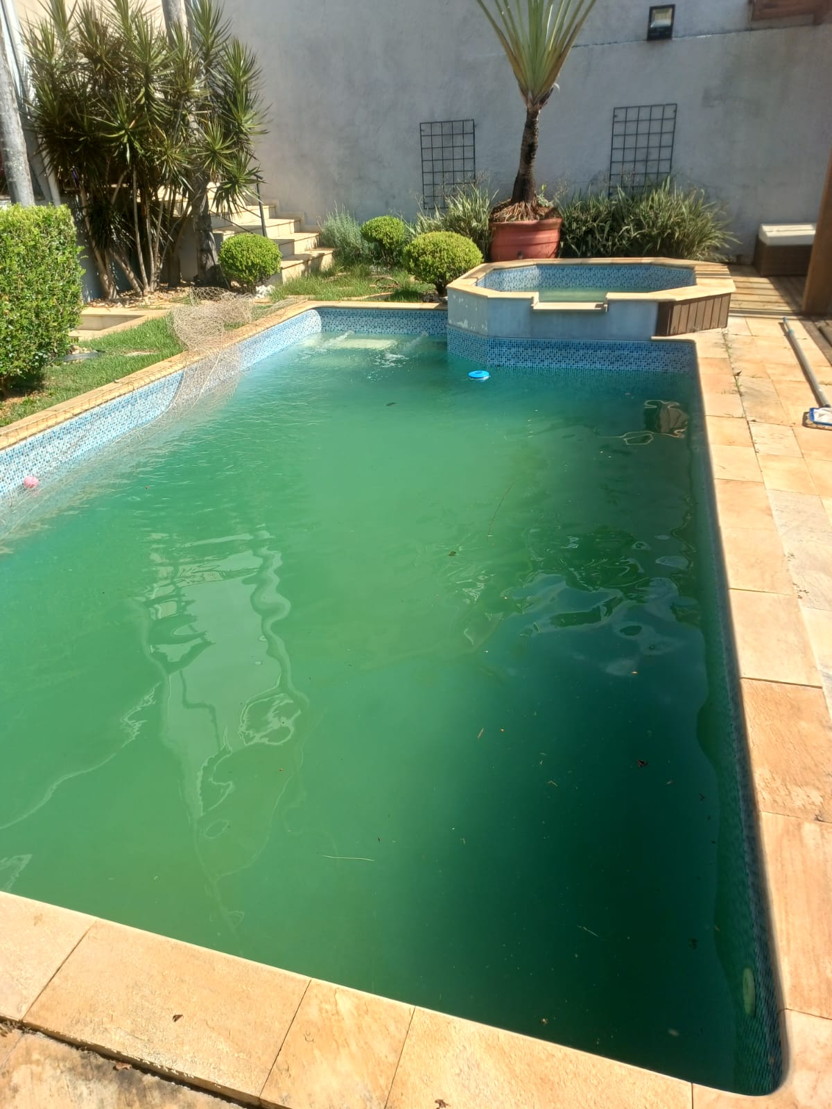 Piscina antes do tratamento 6