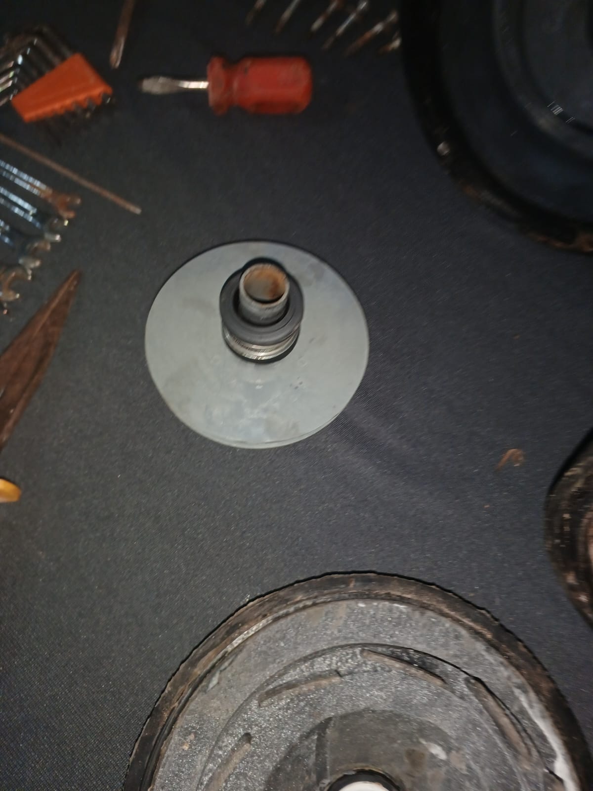 Rotor de motobomba de piscina durante o reparo